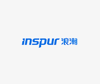 Inspur(浪潮) Inspur(浪潮)